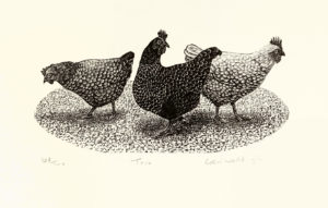 Art from Hens and Heath Exhibit